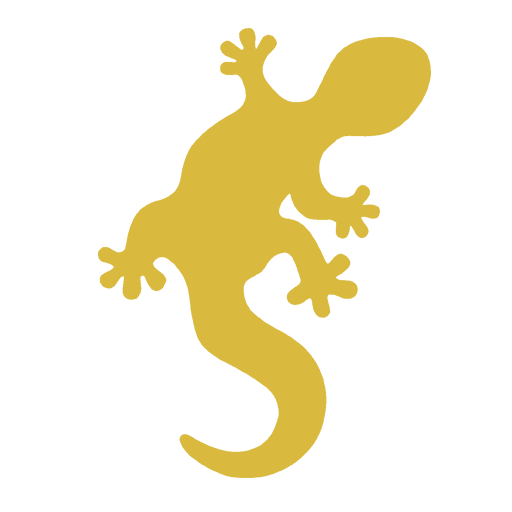 Agencia Salamandra